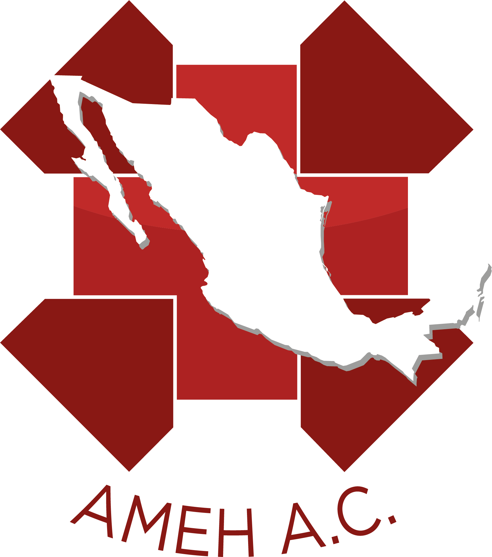 AMEH Logo